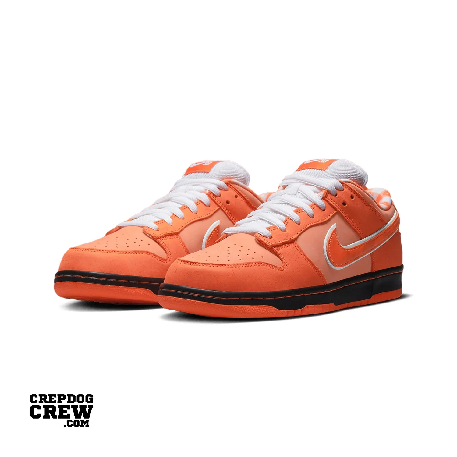 Nike SB Dunk Low Concepts Orange Lobster (Special Box) - Image 3